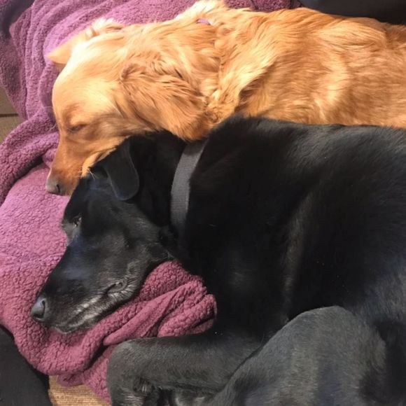 Meet your Posher, Scott - Picture 1 of 1